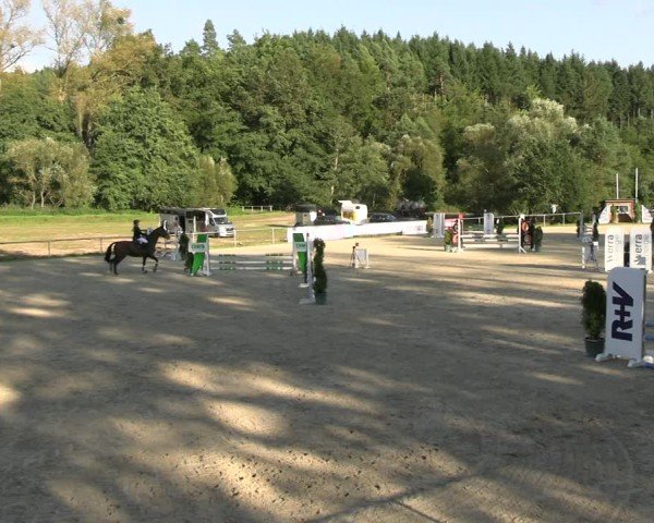 Reitturnier Bad Liebenstein/Sorga 2024