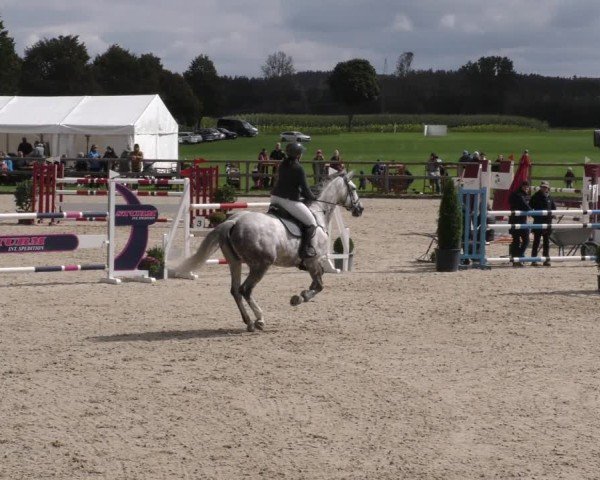 Reitturnier Honsolgen-Buchloe/Schw. 2024