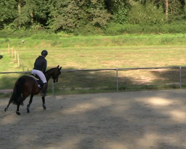 Reitturnier Bad Liebenstein/Sorga 2024