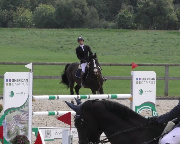 Reitturnier Honsolgen-Buchloe/Schw. 2024