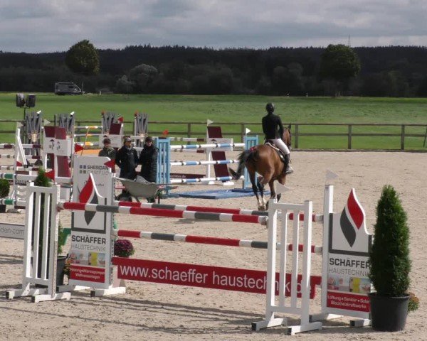 Reitturnier Honsolgen-Buchloe/Schw. 2024