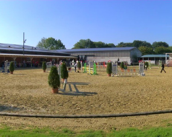 Reitturnier Laer 2024