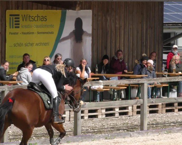 Reitturnier Honsolgen-Buchloe/Schw. 2024