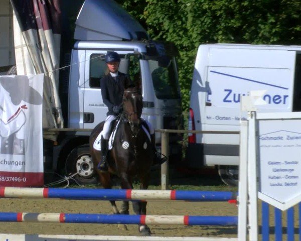 Reitturnier Laer 2024