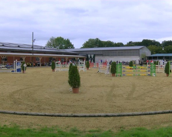 Reitturnier Laer 2024