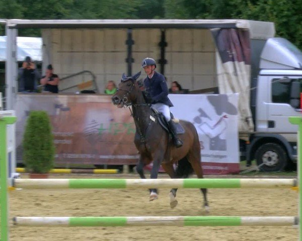 Reitturnier Laer 2024