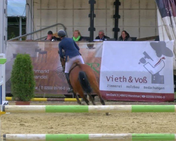 Reitturnier Laer 2024