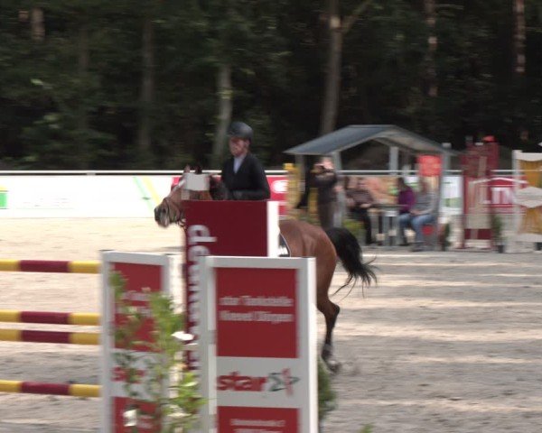 Reitturnier Dörpen 2024