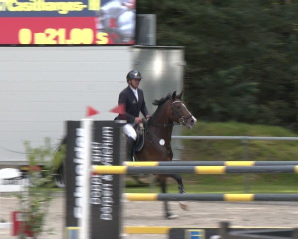 Reitturnier Dörpen 2024
