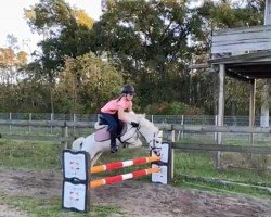 dressage horse Wicky (Pony without race description, 2007, from Unbekannt Pony)