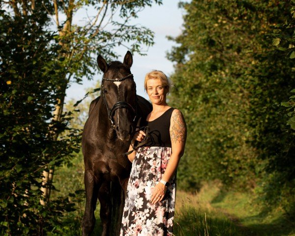 Pferd Sir Poldi 6 (Deutsches Sportpferd, 2019, von Secret)
