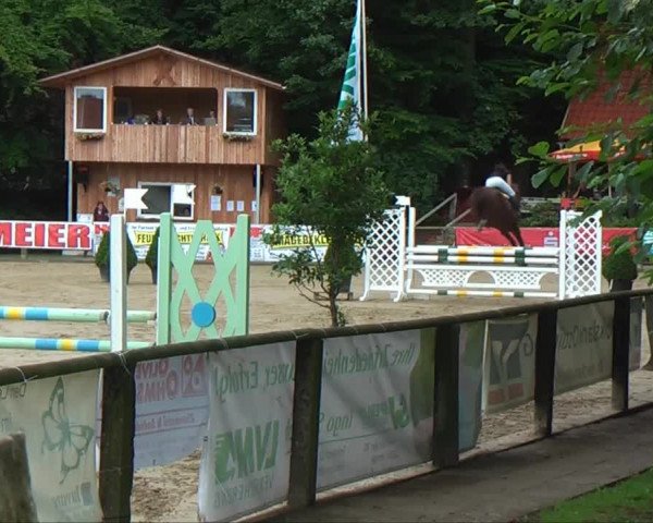 Lippische Reiterspiele 2013 Springen