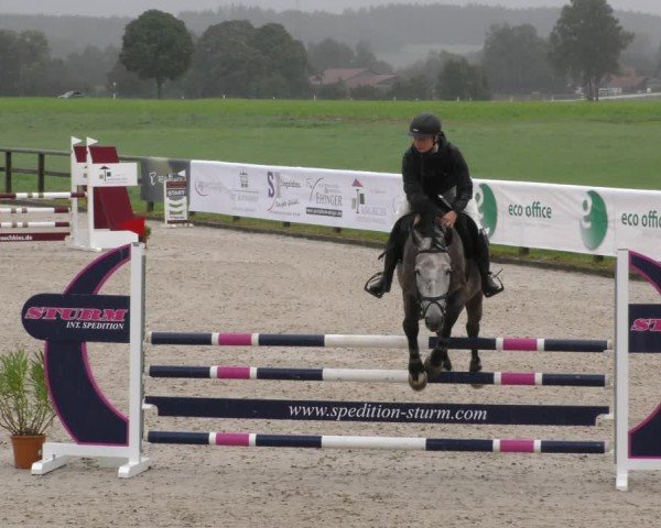 Reitturnier Honsolgen-Buchloe/Schw. 2024