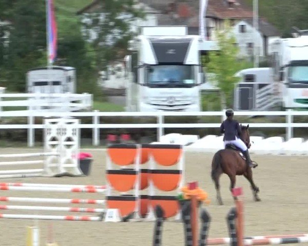 Reitturnier St. Margarethen 2024