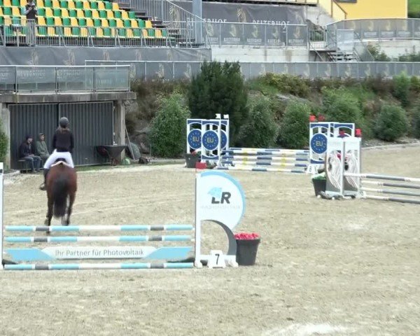 Reitturnier St. Margarethen 2024