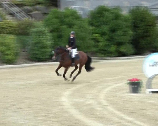 Reitturnier St. Margarethen 2024