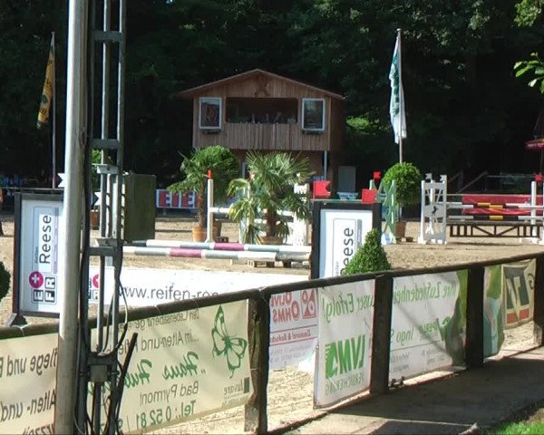 Lippische Reiterspiele 2013 Springen