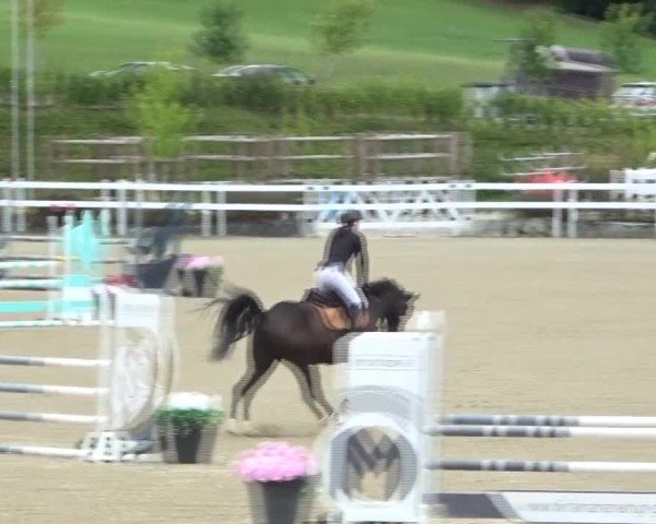 Reitturnier St. Margarethen 2024