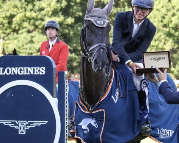 jumper Napoli van 't Klavertje Vier (Belgian Warmblood, 2013, from Vigo d'Arsouilles)