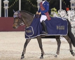 stallion Dxb Legend (Selle Français, 2013, from Diamant de Semilly)