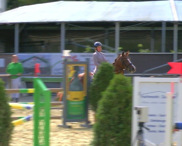 Reitturnier Laer 2024