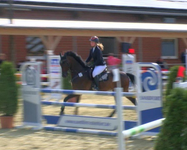 Reitturnier Laer 2024