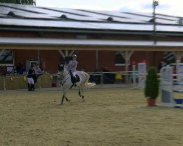 Reitturnier Laer 2024