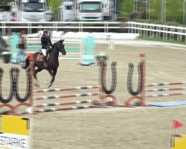 Reitturnier St. Margarethen 2024