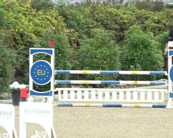 Reitturnier St. Margarethen 2024