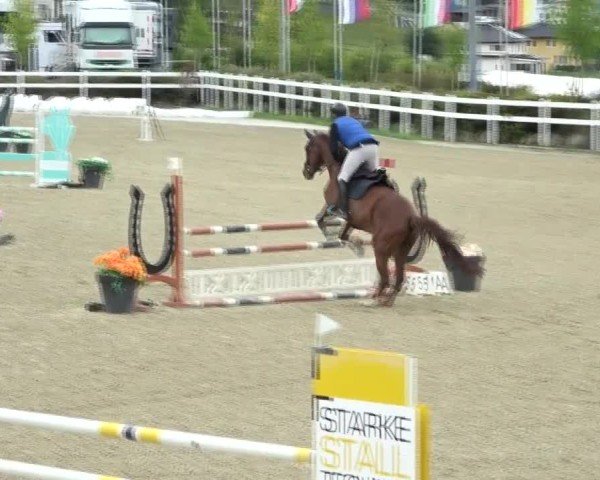 Reitturnier St. Margarethen 2024