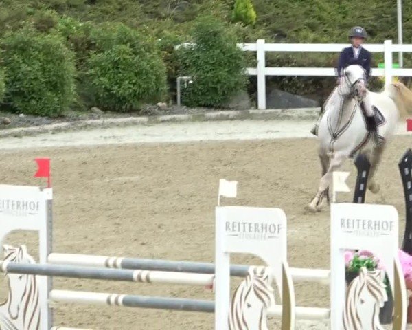 Reitturnier St. Margarethen 2024