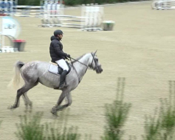 Reitturnier St. Margarethen 2024