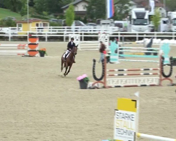 Reitturnier St. Margarethen 2024