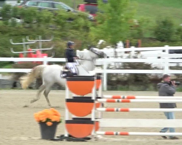 Reitturnier St. Margarethen 2024