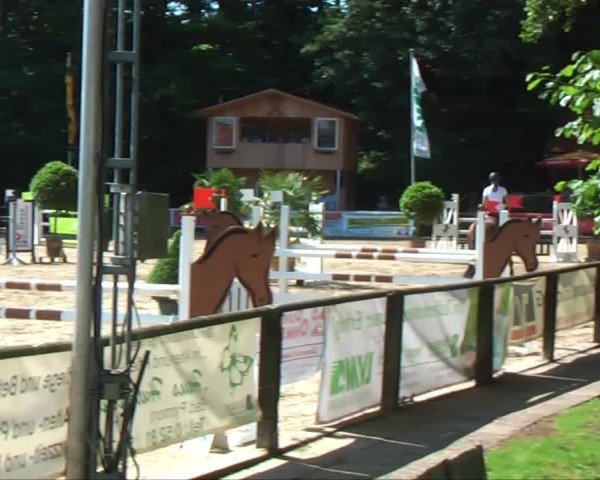 Lippische Reiterspiele 2013 Springen