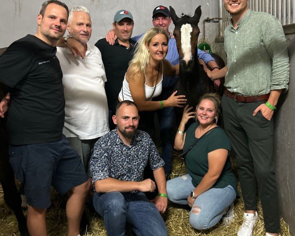 horse Suriname (Holsteiner, 2024, from Duplexx)