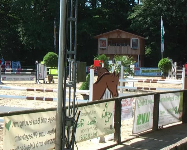 Lippische Reiterspiele 2013 Springen
