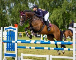 jumper Quintura (Mecklenburg, 2010, from Quintender 2)