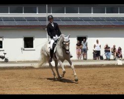 Springpferd Bonbon 25 (unbekannt, 2012)