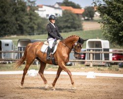 dressage horse Pina Girl (German Sport Horse, 2017, from Sezuan)