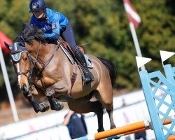 jumper Cashy (Holsteiner, 2016, from Cash and Carry)