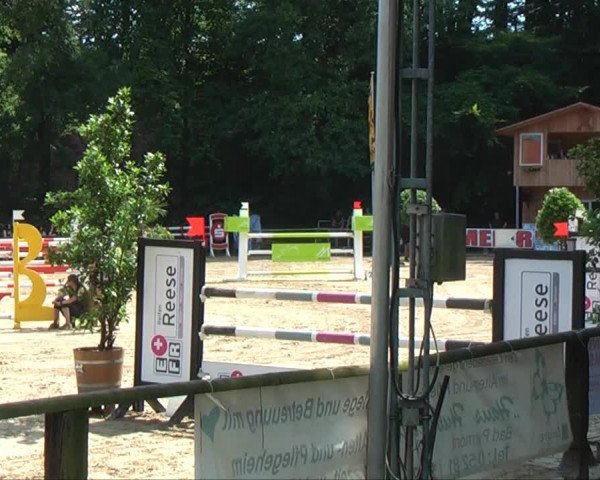 Lippische Reiterspiele 2013 Springen
