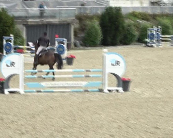 Reitturnier St. Margarethen 2024