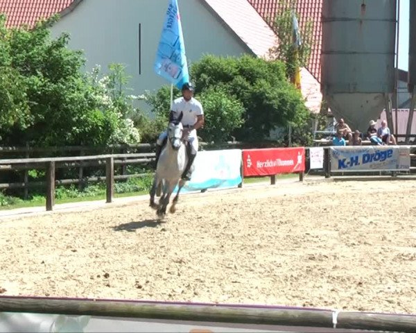 Lippische Reiterspiele 2013 Springen