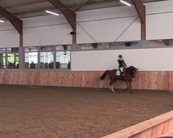 Reitturnier Albersloh 2024