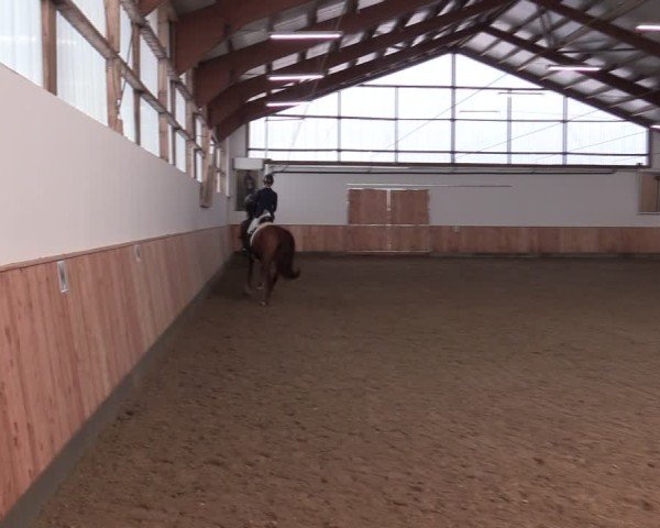 Reitturnier Albersloh 2024