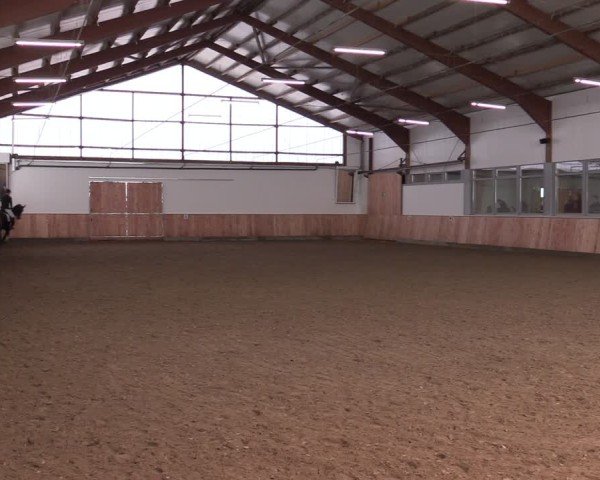 Reitturnier Albersloh 2024