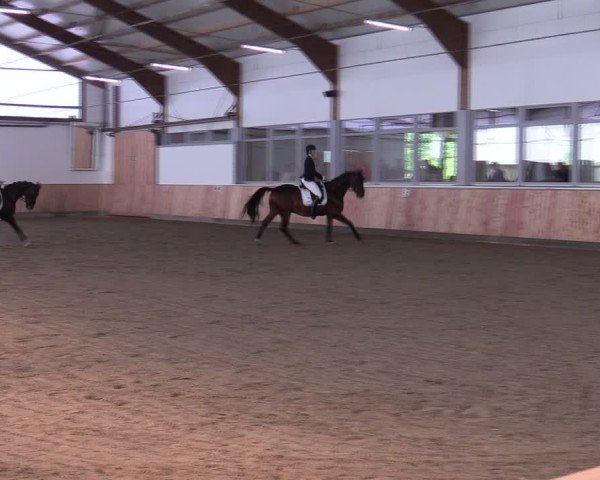 Reitturnier Albersloh 2024