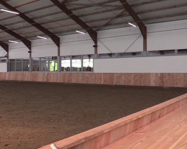 Reitturnier Albersloh 2024