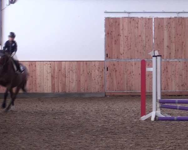 Reitturnier Albersloh 2024